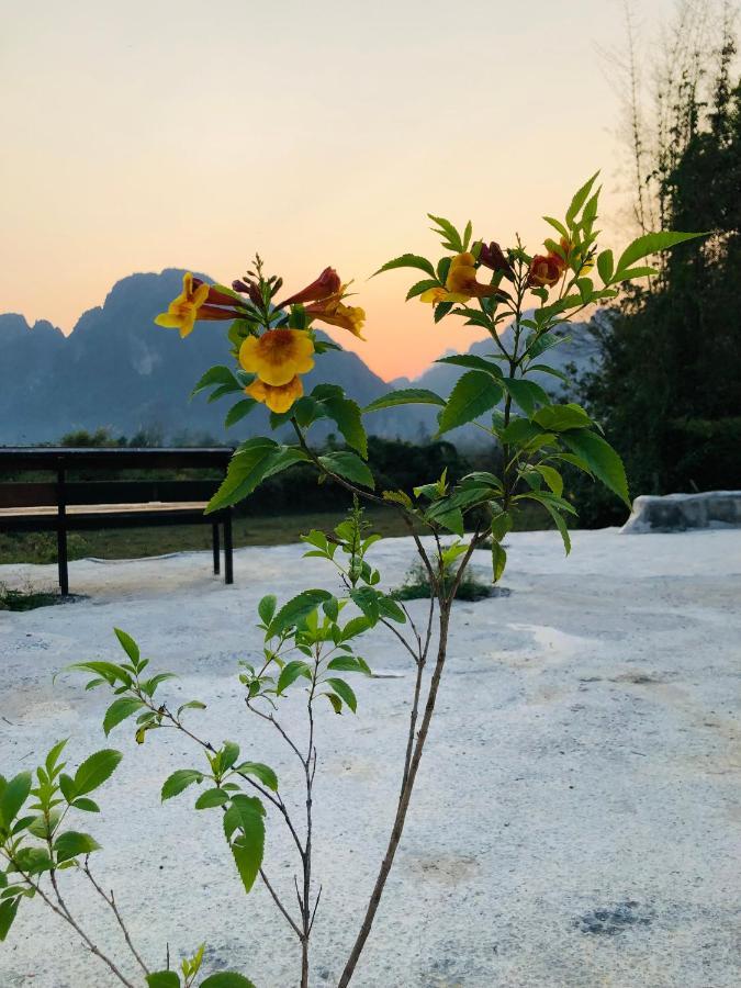 Jungle Paradise Vangvieng - Bungalows Vang Vieng Exteriör bild
